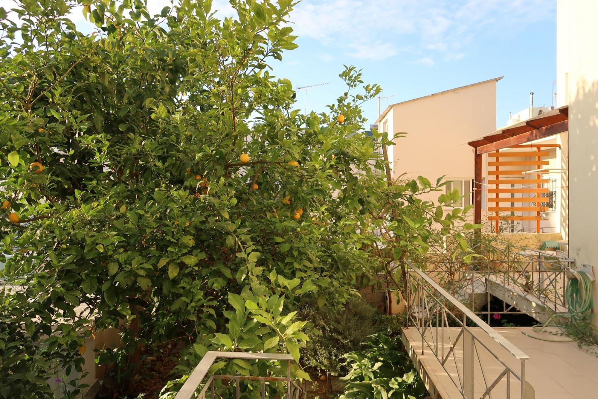 הוילה חאניה Sunbeam Retreat מראה חיצוני תמונה